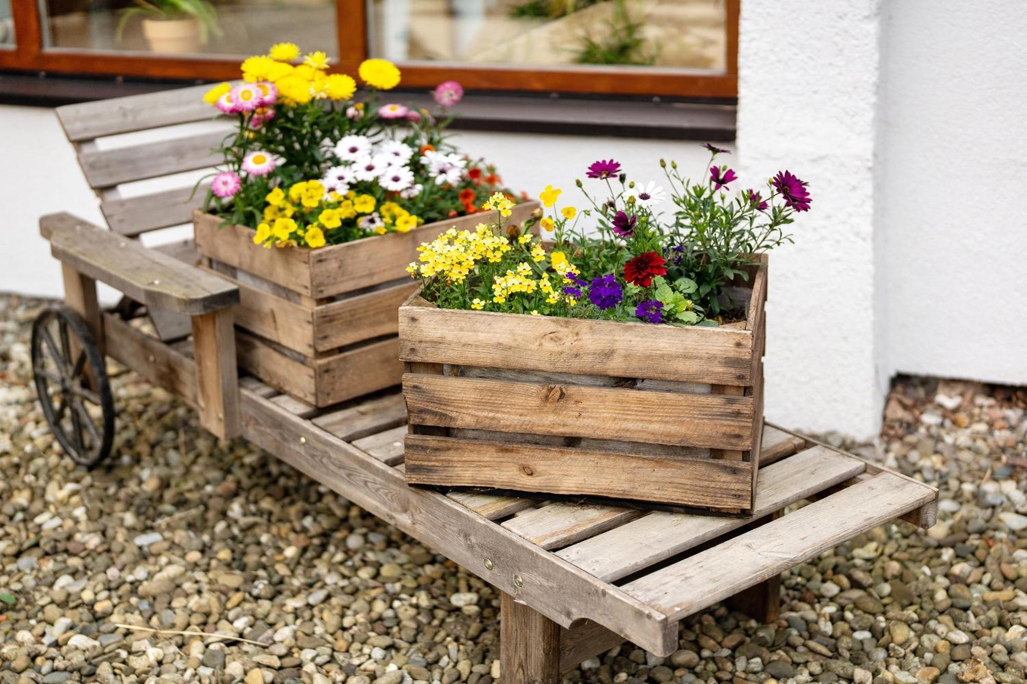 Fewo Naturliebe - Keine Monteure Dornhan ภายนอก รูปภาพ